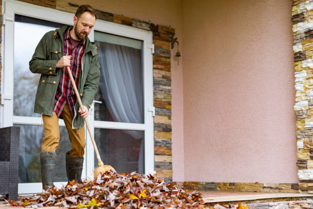 Best Trash Removal Near Me  in Havre, MT