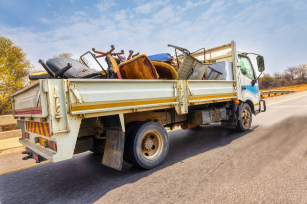 Best Yard Cleanup Services  in Havre, MT
